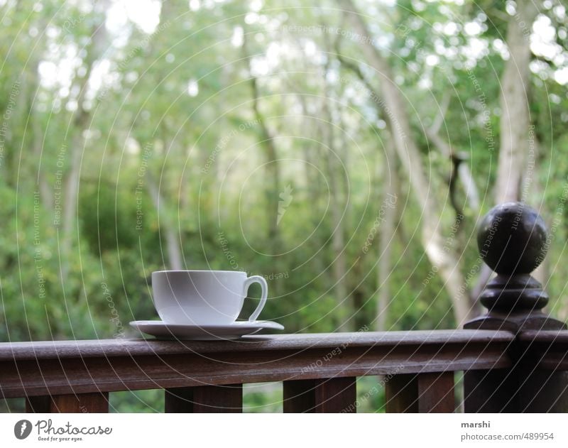 &lt;font color="#ffff00"&gt;-=it´s=- sync:ßÇÈâÈâ Beverage Drinking Hot drink Coffee Tea Emotions Cup Virgin forest Relaxation Teatime Forest Nature Break
