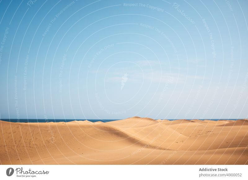 Desert landscape against sea in nature dune desert sand arid coast shore tropical blue sky seashore summer dry cloudless terrain scenic drought scenery