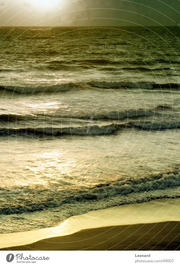 Golden Lake Ocean Sunset Glass technology Beach Atlantic Ocean Waves Portugal Water sea reflection wave