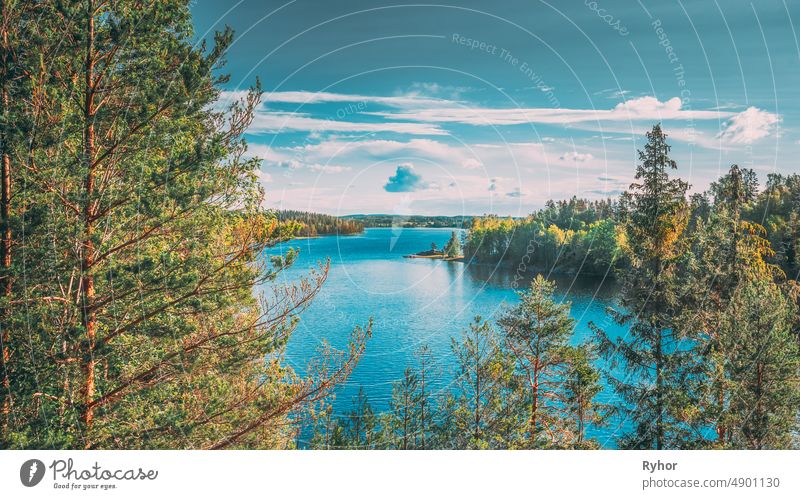 Swedish Nature. Sweden. Summer Lake Or River In Beautiful Summer Sunny Day. Forest Growing On Stone Coast beautiful calm coast europe forest lake landscape