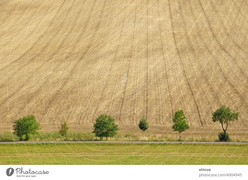 harvested, cultivated field on slope with six different small deciduous trees, a road and a meadow in front / summer Field Cultivation Slope acre Agriculture