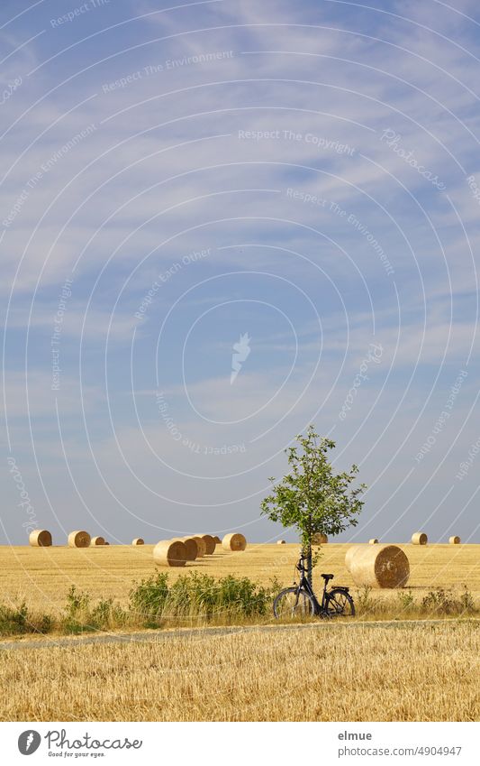 A ladies bicycle leaning against a small tree at the edge of a path between stubble fields with round straw bales against blue sky with fair weather clouds / summer