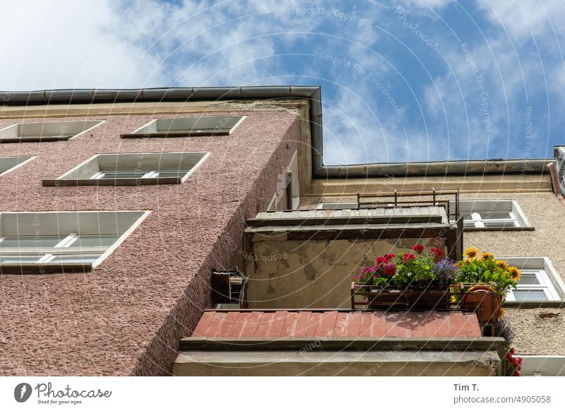 Two balconies in Prenzlauer Berg Balcony Colour photo Summer Berlin Town Exterior shot Deserted Downtown Capital city Old town Day House (Residential Structure)