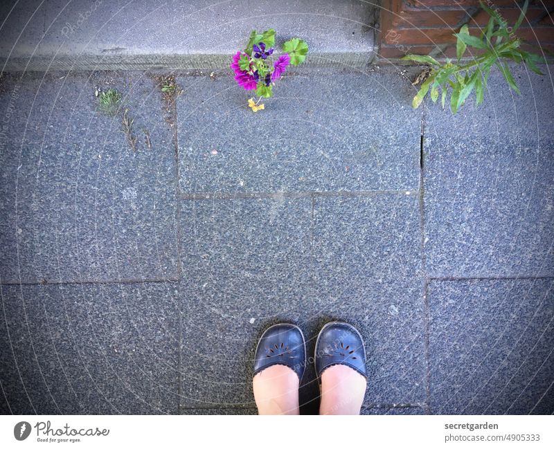 Edge protection Flower feet edge Stage Blossom Surprise Entrance Footwear Summer Naked off Exterior shot Stand Colour photo Woman Bird's-eye view Human being