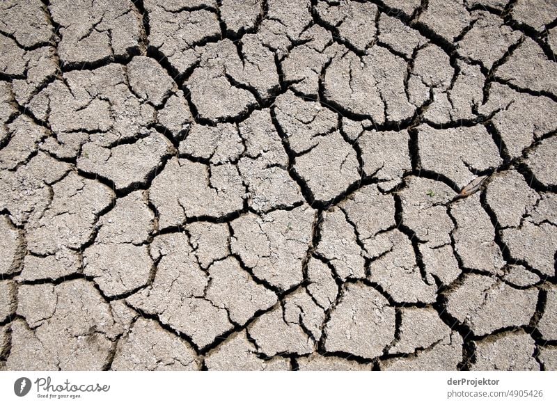 Dried up lake in detail in Bavaria/Franconia II Crack & Rip & Tear Desert Drought Weather heating Surface Summer Hot Brown Ground Pattern Deserted Exterior shot