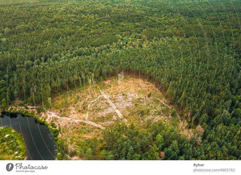 Aerial View Green Forest Deforestation Area Landscape. Top View Of