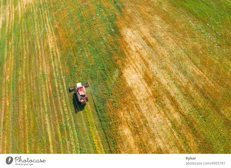 Aerial View Of Rural Landscape. Combine Harvester Working In Field, Collects Seeds. Harvesting Of Wheat In Late Summer. Agricultural Machine Collecting Golden Ripe. Bird's-eye Drone View