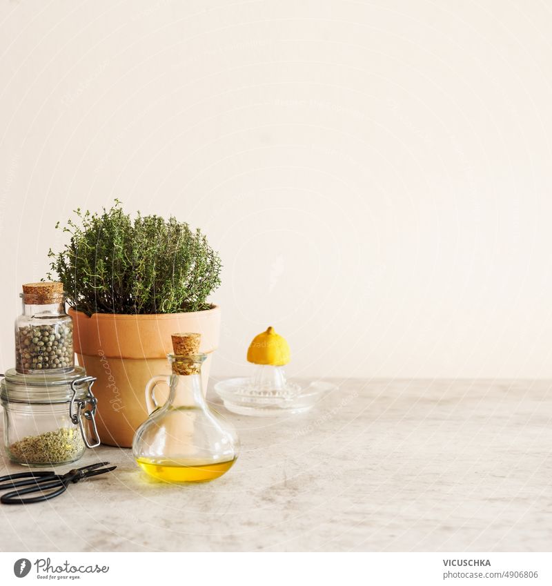 Food flavoring setting with olive oil, fresh potted herbs, lemon and spices on kitchen table food concrete wall background front view copy space citrus