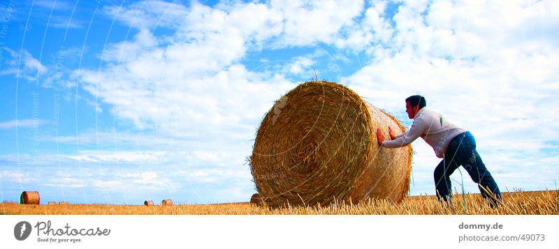 hard work II Work and employment Hard Man Pants Vest Push Meadow Field Summer dommy Thomas Hair and hairstyles Coil Bale of straw Sun Blue strung up