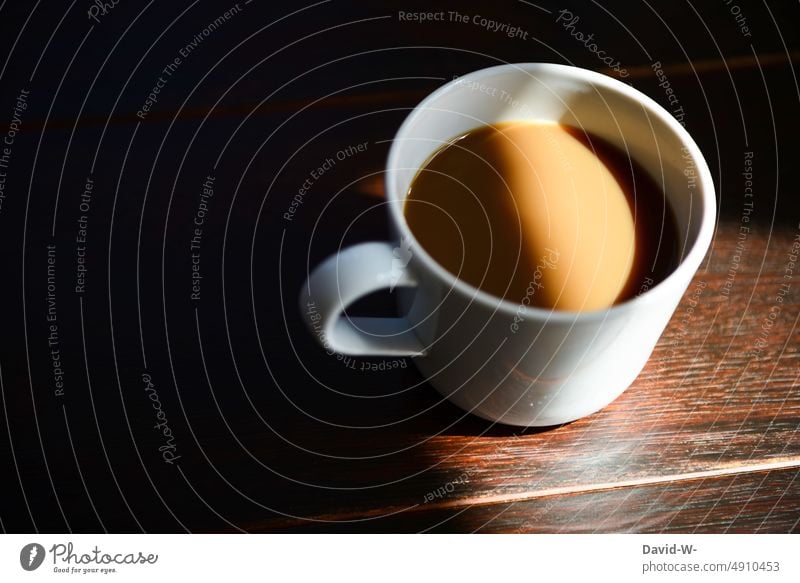 a cup with coffee in the sunlight Coffee Cup Mug Sunlight tranquillity Sunbeam morning routine Coffee break Coffee cup Light (Natural Phenomenon) Shadow Table