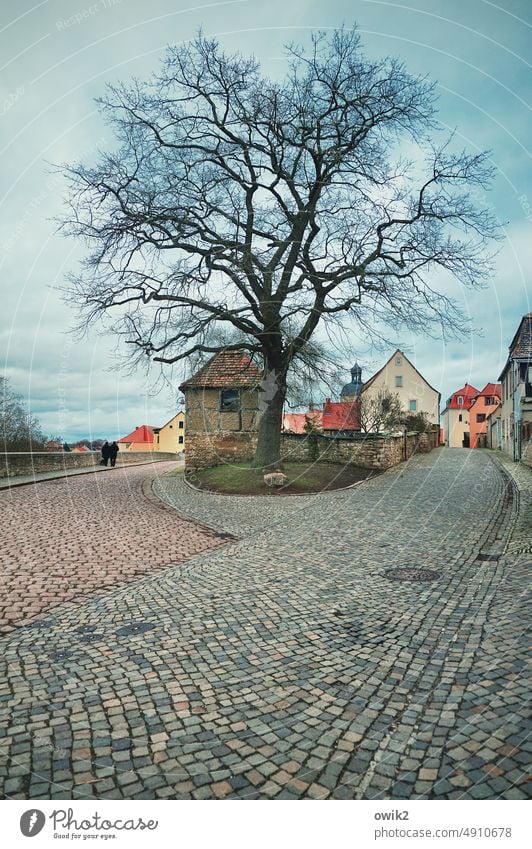 Querfurtein transverse ford Small Town Saxony-Anhalt Germany Old town Historic Street Paving stone Cobblestones Colour photo Subdued colour Exterior shot