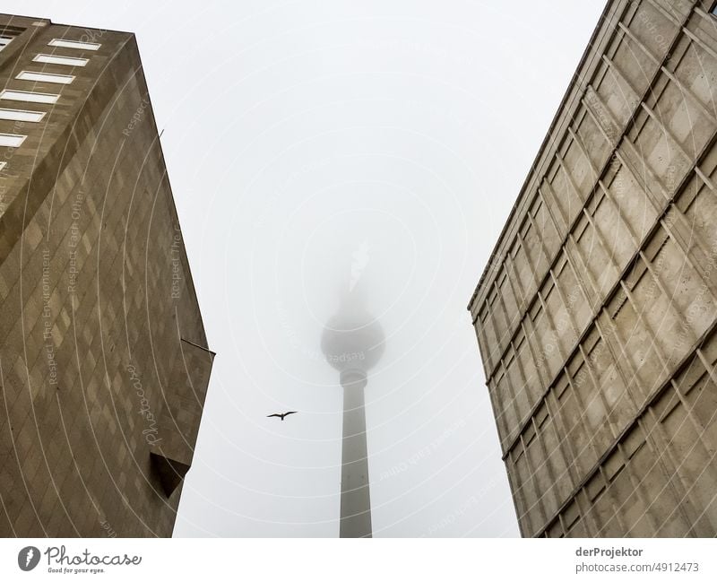 TV tower in Berlin in fog with bird framed by two shopping malls Berlin TV Tower Monument Landmark Bad weather Gray Town Berlin Centre Pattern Abstract