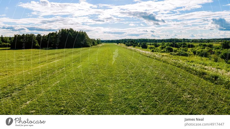 Open field used for making hay horizon sunny natural american nature land meadow background agriculture plant midwest usa tree growth wisconsin sky farm organic