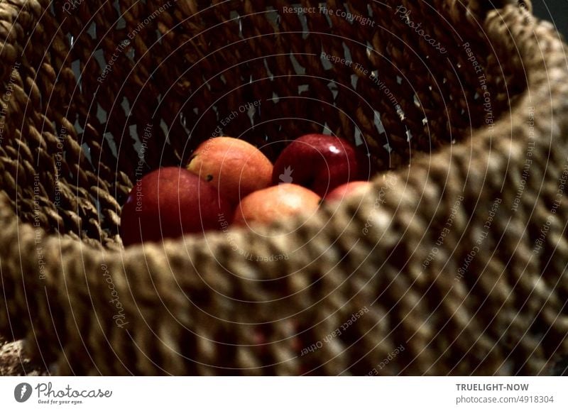 Some bright red orange apples lie in a rustic wicker basket woven by hand, soon autumn will come Wicker basket Rustic Red Orange Illuminate Contrast fruits