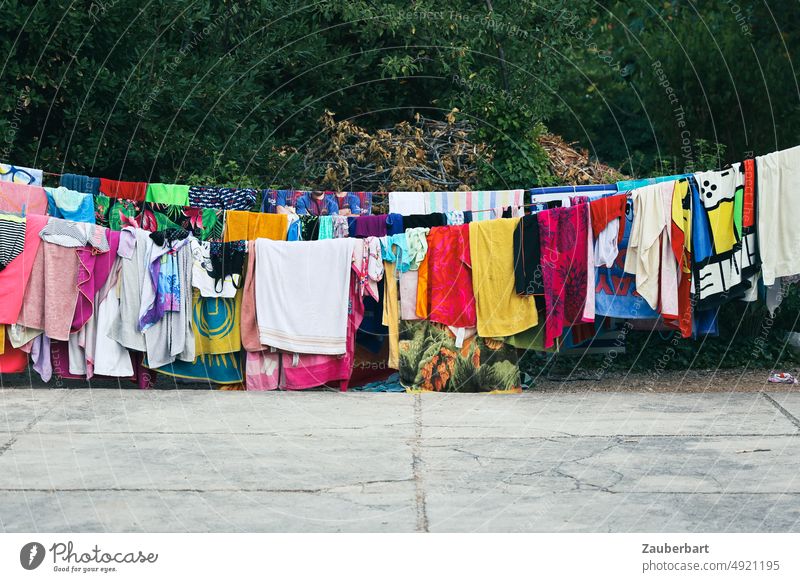 Various undergarments drying on clothesline. Laundry hanging