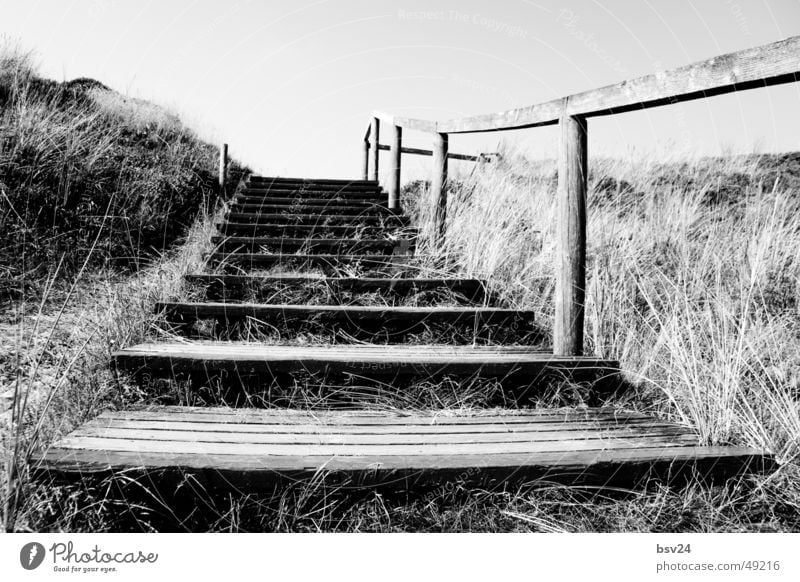 stairs Footbridge Black White Wood Ocean Sylt Stairs Landscape Beach dune