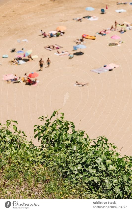 Travelers resting on sandy beach near sea people traveler parasol recreation shore trip crowd pastime resort water tree nature coast summer ocean seafront