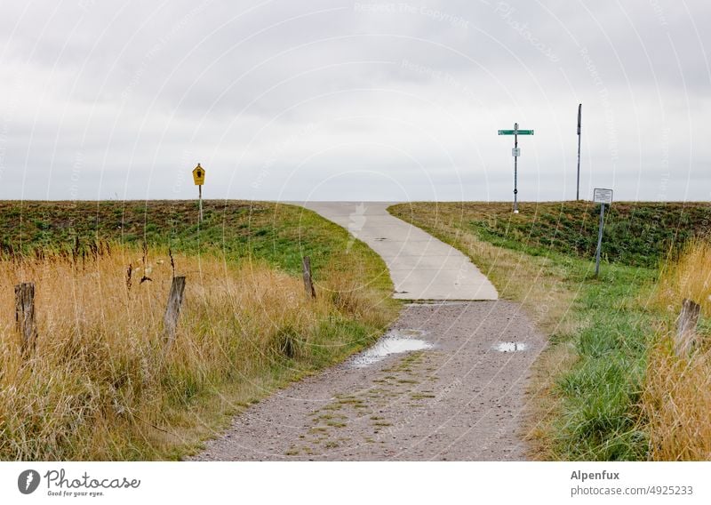 limited horizon duene Nature Beach dune coast Vacation & Travel Baltic Sea Relaxation Landscape Ocean Clouds Marram grass Deserted Tourism Sky dunes Dike