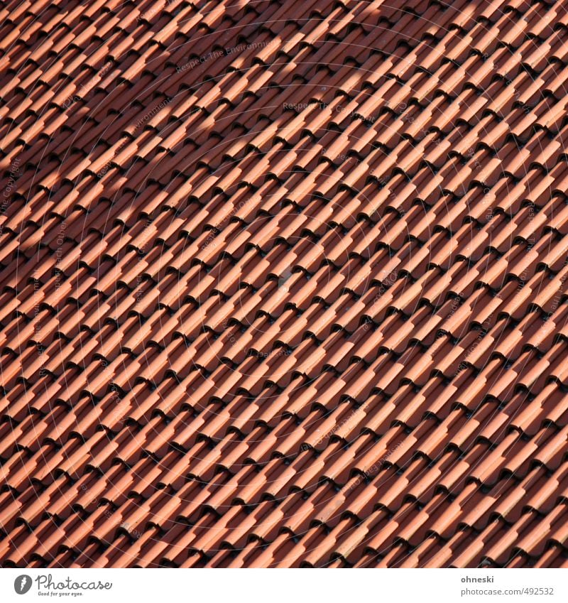 over the roofs of... House (Residential Structure) Detached house Architecture Roof Roofing tile Living or residing Colour photo Exterior shot Abstract Pattern