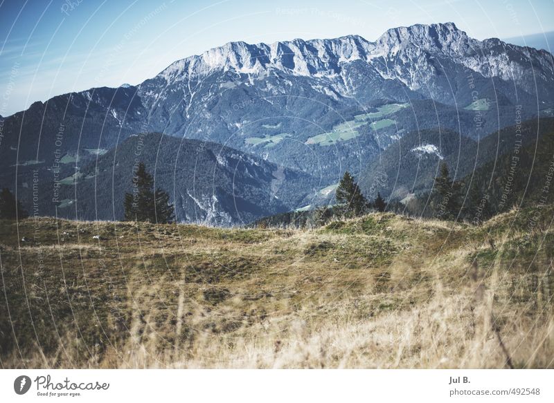 Bavarian Alps Environment Nature Landscape Air Clouds Weather Beautiful weather Good Bright Moody Colour photo Exterior shot Day Light