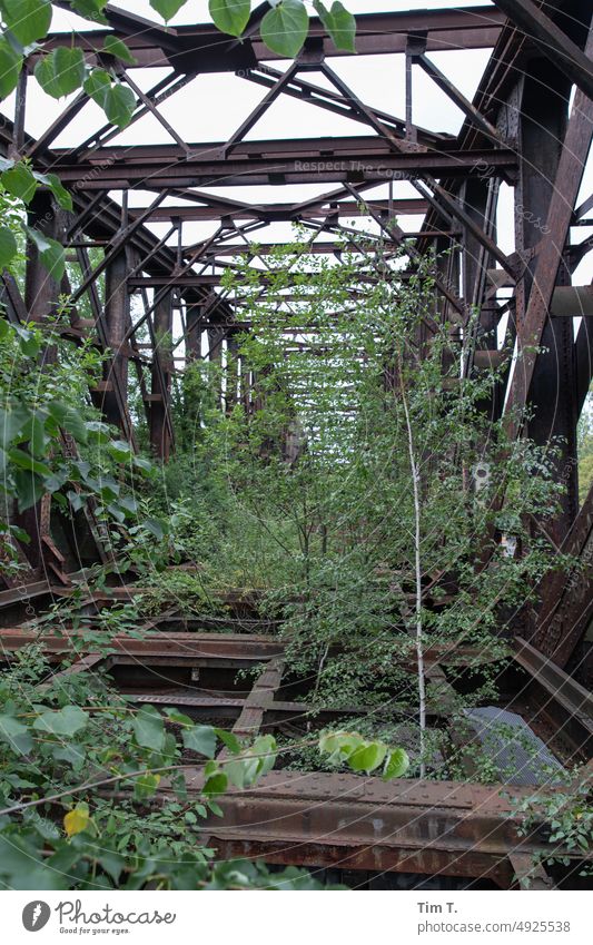 an old disused railroad bridge Bridge Ruin Colour photo Exterior shot Deserted Architecture Manmade structures Day Old Decline Transience Past Change Derelict
