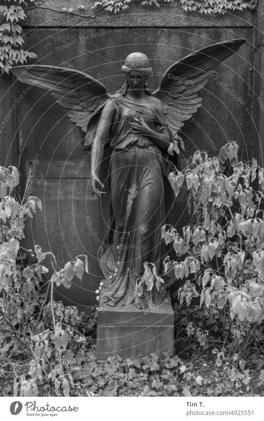 a statue of an angel in a cemetery Angel Cemetery b/w Summer Berlin Exterior shot Black & white photo Deserted Day B/W bnw