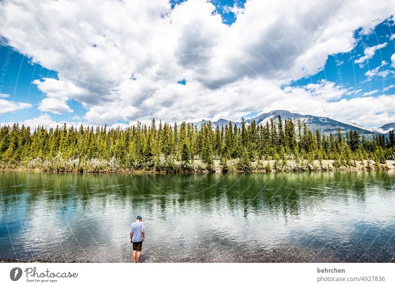 Everything is in flux Water Adventure trees Forest Far-off places River Vacation & Travel Wanderlust Banff National Park Alberta Rocky Mountains North America