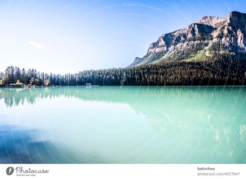 silent Lake Louise Alberta Adventure Freedom Landscape Mountain Canada Exterior shot Nature Rocky Mountains North America Colour photo Fantastic Tourism