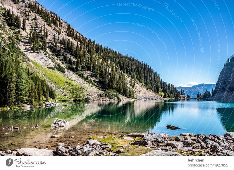 once upon a time in canada Alberta Landscape Lake Mountain Canada Rocky Mountains Far-off places Wanderlust mountain lake Banff National Park Loneliness Lonely