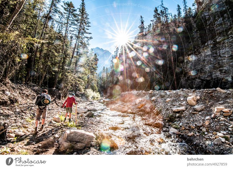 wanderlust | off on adventure, yeah!!! Family & Relations Freedom Adventure Son Hiking Canada Mountain Forest trees Landscape North America Colour photo