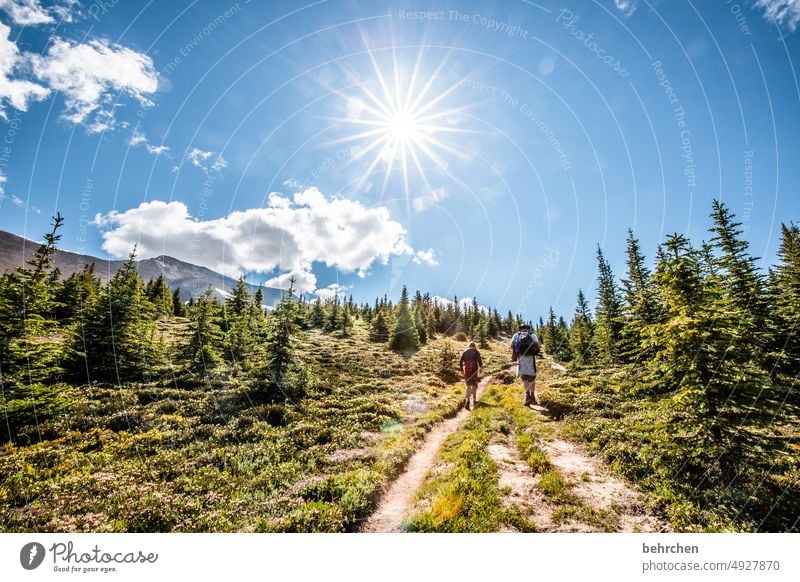 star stories Jasper national park Family & Relations Clouds Freedom Adventure Son Hiking Canada Mountain Forest trees Landscape North America Colour photo