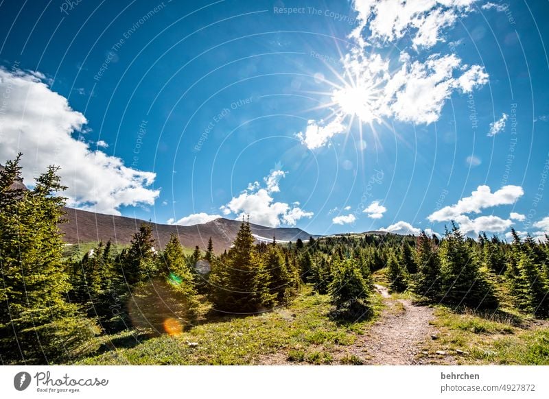 once upon a time in canada Jasper national park Clouds Hiking Canada Adventure Mountain Forest trees Landscape North America Rocky Mountains Wanderlust