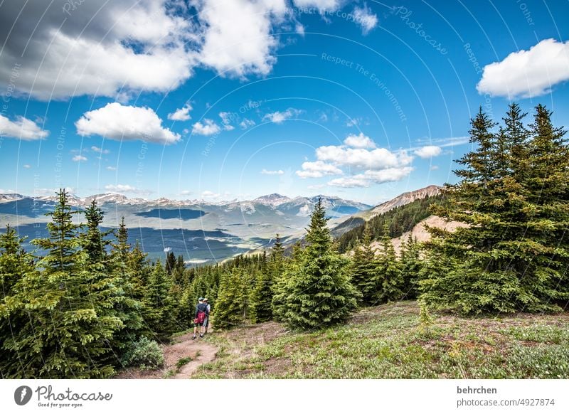 once upon a time in canada Jasper national park Clouds Hiking Canada Adventure Mountain Forest trees Landscape North America Rocky Mountains Wanderlust