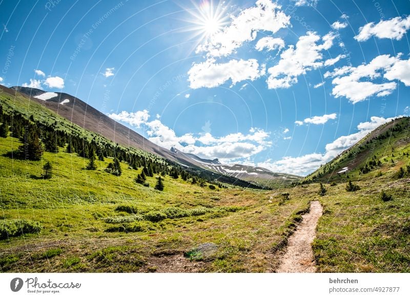 once upon a time in canada Jasper national park Clouds Hiking Canada Adventure Mountain Forest trees Landscape North America Rocky Mountains Wanderlust