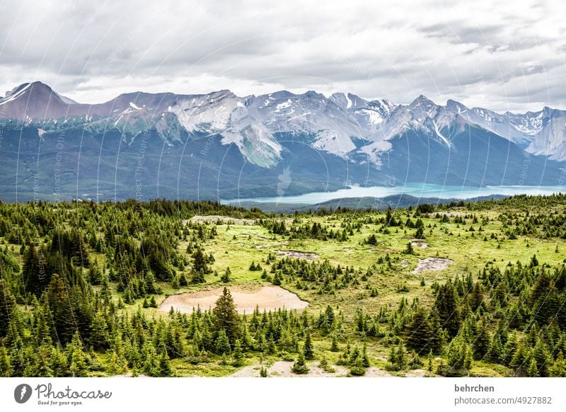 once upon a time in canada Jasper national park Clouds Hiking Canada Adventure Mountain Forest trees Landscape North America Rocky Mountains Wanderlust