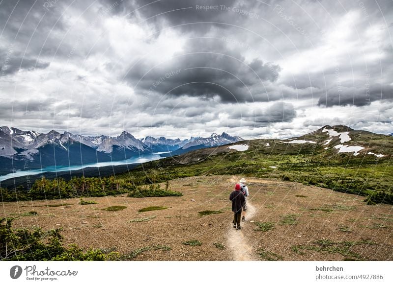 once upon a time in canada Jasper national park Clouds Hiking Canada Adventure Mountain Forest trees Landscape North America Rocky Mountains Wanderlust