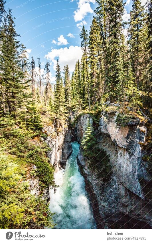 Everything is in flux height Tall Unafraid of heights Giddy maligne canyon abyss Steep depth Deep Riverbed Canyon Alberta Jasper national park Adventure Canada