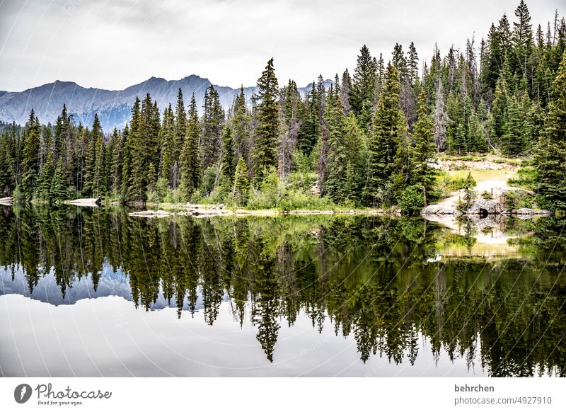 parallel world | below as above Alberta Clouds Adventure Freedom Jasper national park Lake trees North America Colour photo Fantastic Reflection mountain lake