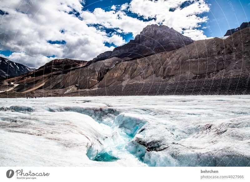 crevasse Climate Climate change chill Climate protection Ice crystal Environmental protection Cold Impressive Banff National Park Icefield parkway Glacier