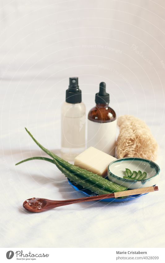Product mockup photo showing beauty and hygiene product using aloe vera for a sustainable lifestyle and ethical consumerism aloe vera spray beauty product