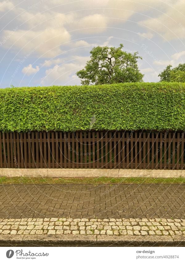 sidewalk off Green Fence green stuff Nature