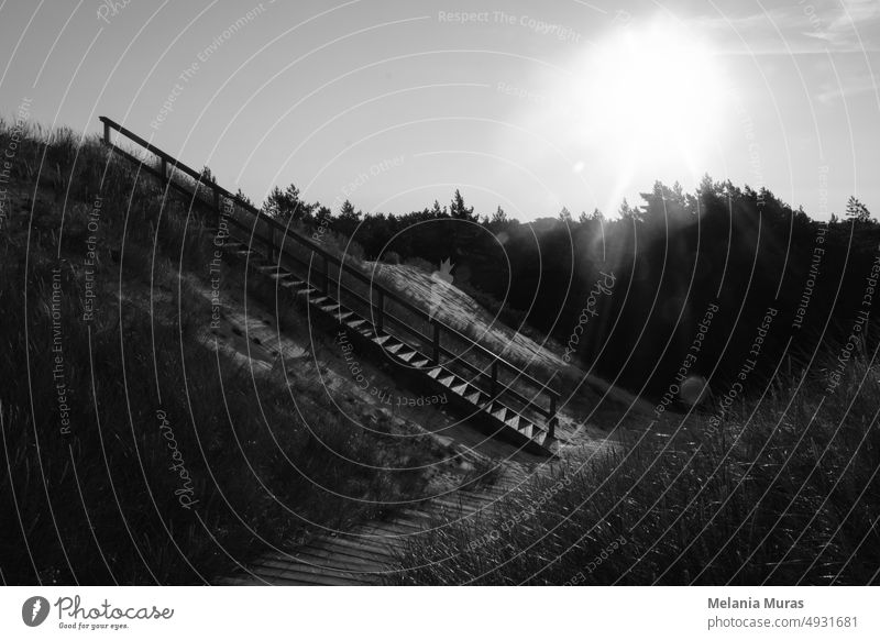 Landscape with stairs. Wooden stairs to the beach covered with sand in surreal morning light. Low key abstract landscape. Sand dunes foot path in nature park with a protected coastal strip by Baltic sea.