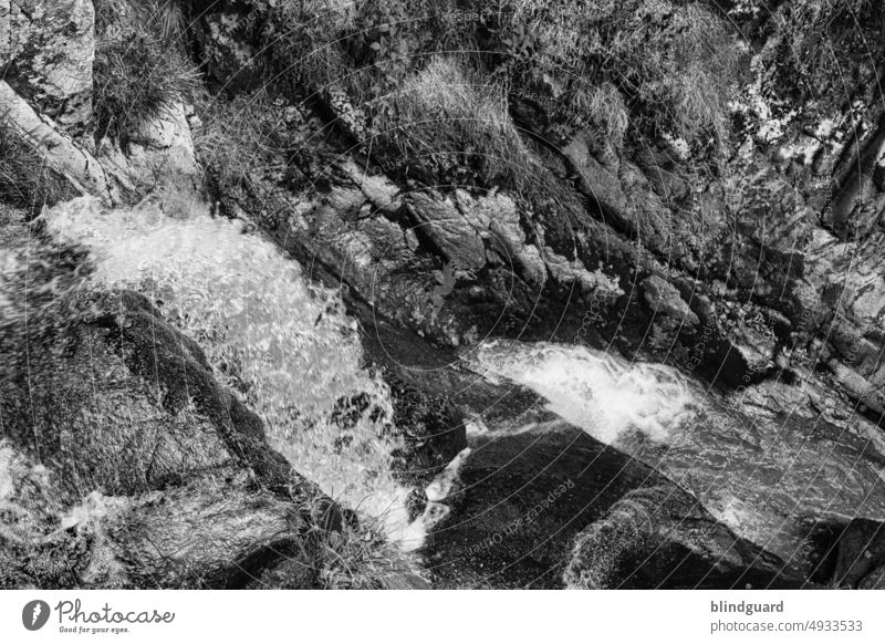 Waterfall (in colorless) Black Forest Rock stones splash Drop Wet Nature Drops of water Damp Close-up Detail Comforting Stone black-and-white