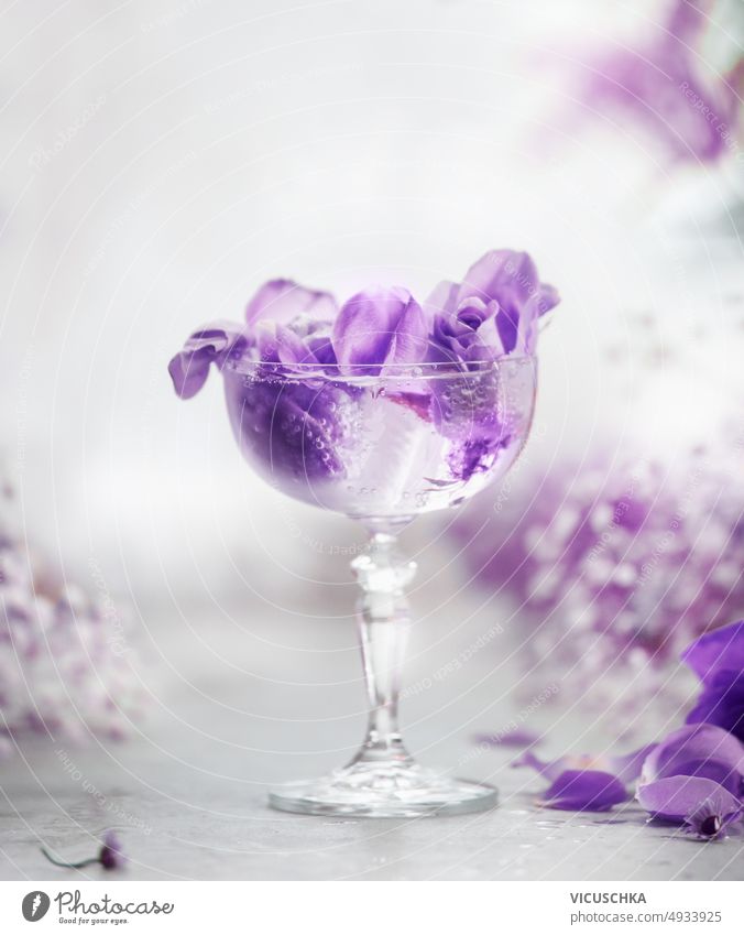 Cocktail champagne glass with purple flowers on light gray table cocktail pink soft focus vertical glasses of champagne petal romantic drink luxury beverage