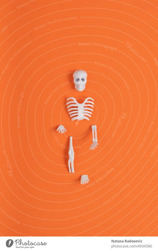 Skeleton parts isolated on orange background. Abstract skeleton Contemporary halloween concept horror Rectangle anatomy autumn body bone colorful composition