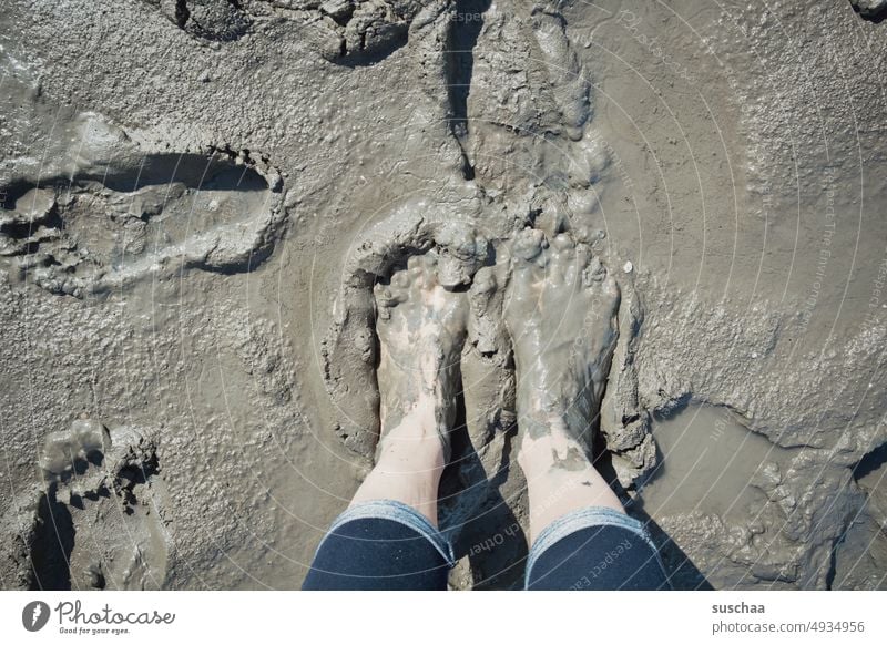 feet in the mud ... what could be better? Woman Legs feminine slush Slick Beach Low tide North Sea Ocean Mud flats Tide coast Water Sand Walk along the tideland