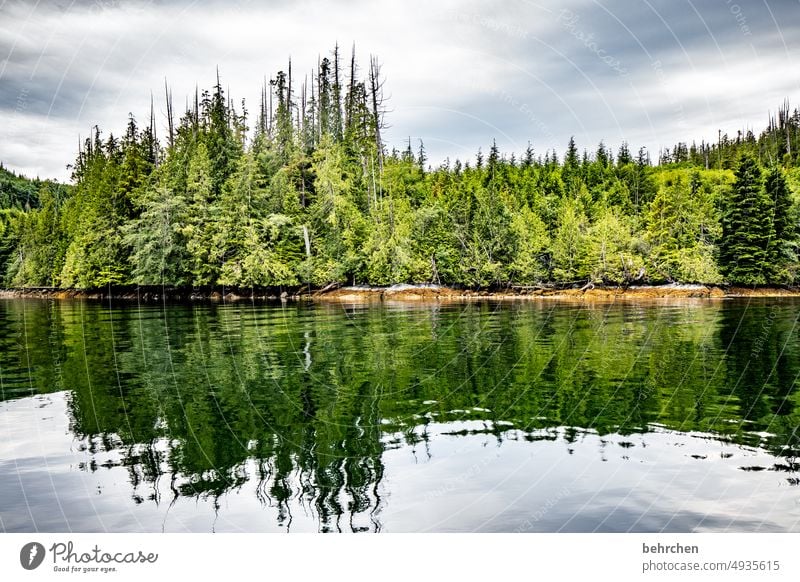 twofold Clouds reflection Sky especially Nature coast Landscape Ocean Forest trees British Columbia Water Adventure Canada North America Vancouver Island