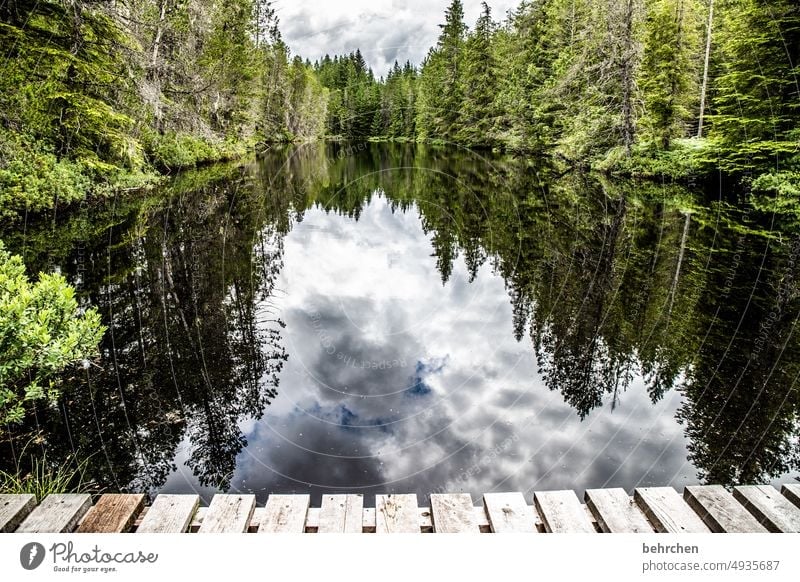 mirror stories Idyll silent tranquillity Reflection British Columbia Lake recover Footbridge Nature Far-off places Wanderlust Vacation & Travel Landscape