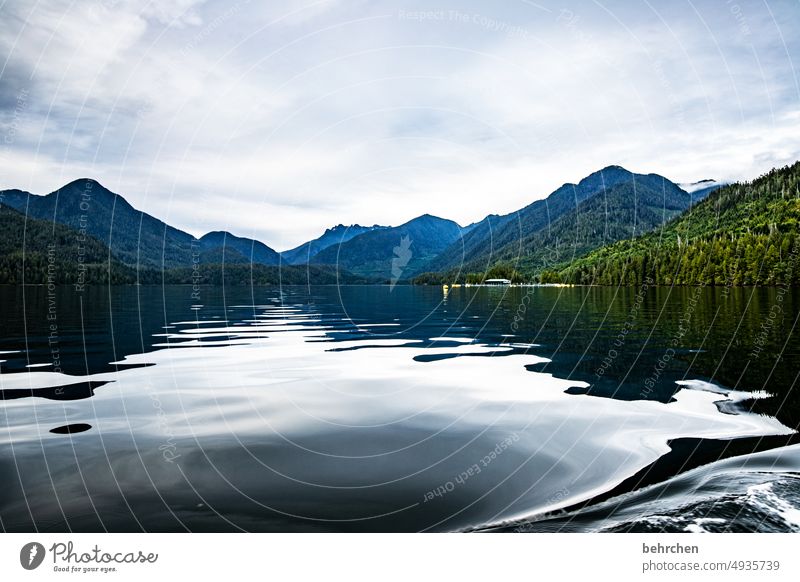 depth Vacation & Travel Exterior shot Vancouver Island Wanderlust Fantastic Colour photo North America Canada Freedom Adventure Water British Columbia trees