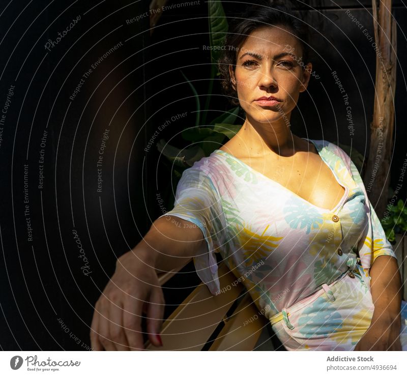 Serious woman siting on bench park appearance feminine rest street style plant serious summer confident calm female sunlight sunshine bush attractive dark hair